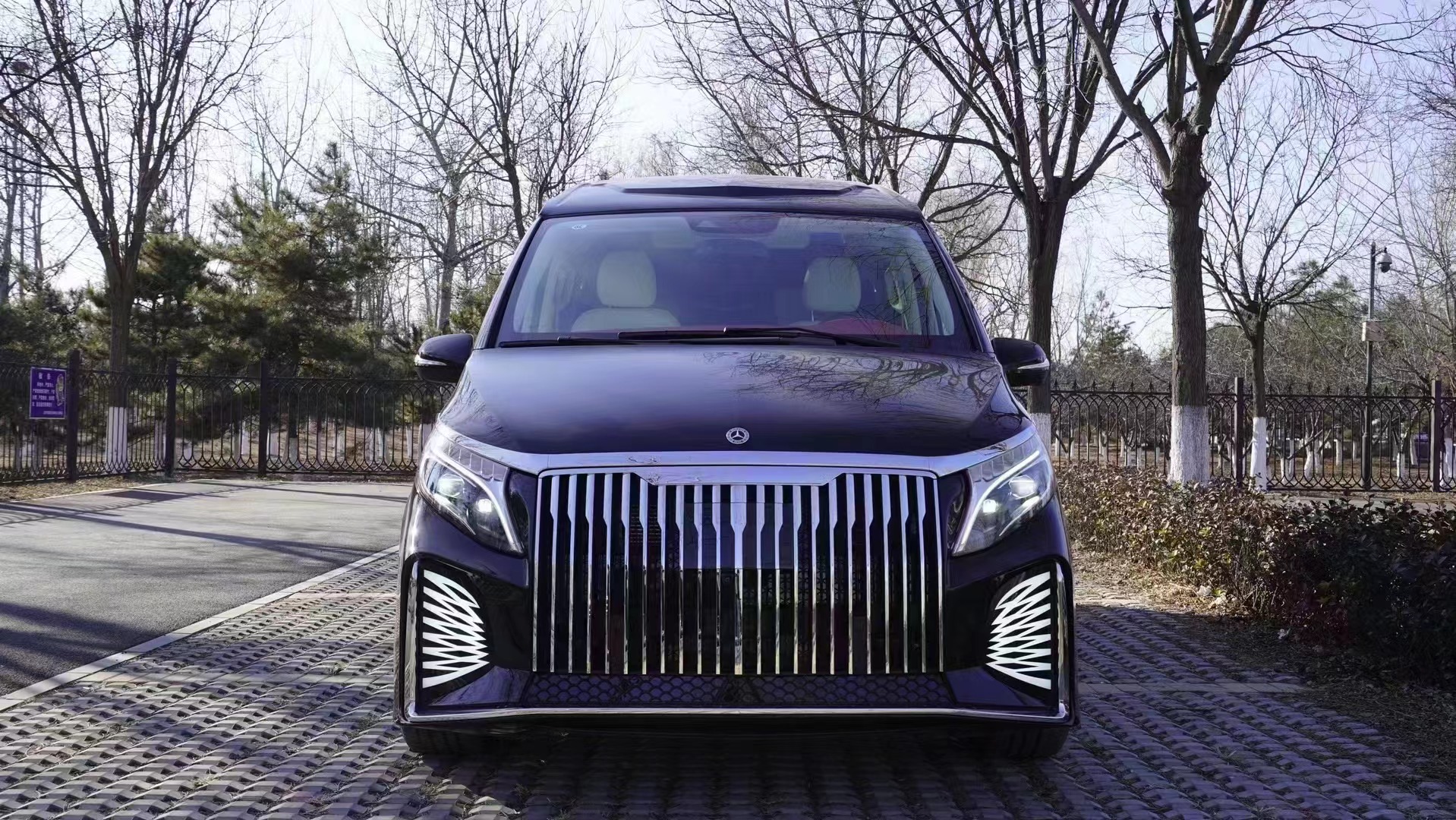 Vito Exterior Upgrade Body Kit for W447